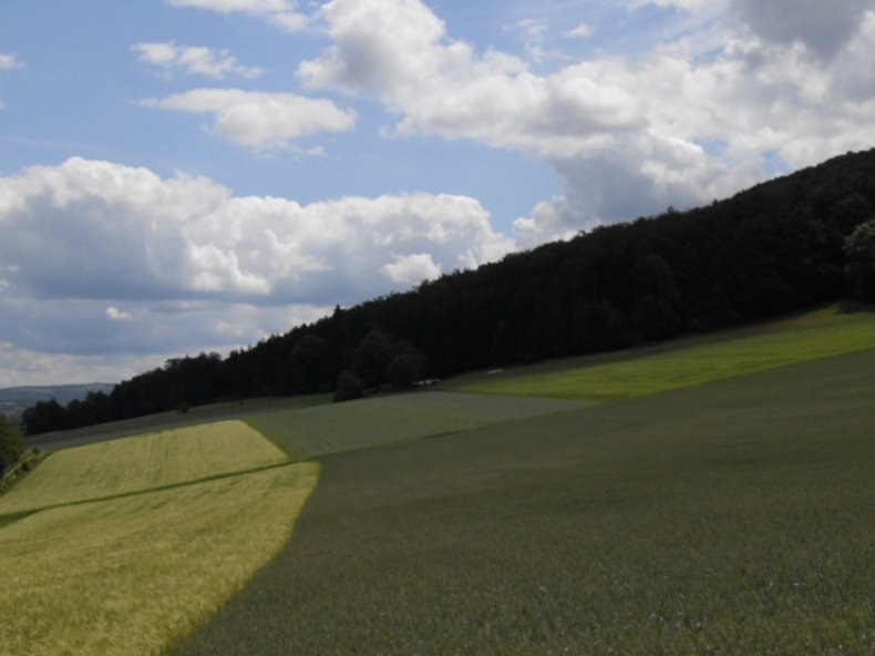 Rhoen-Radmarathon Nichtraucher 595